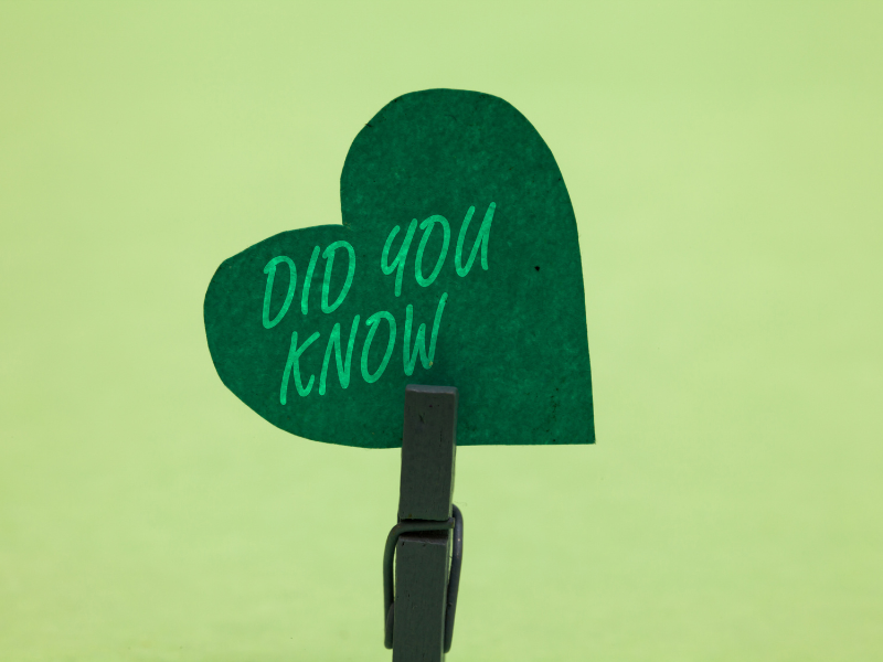 Interesting Facts about pregnancy