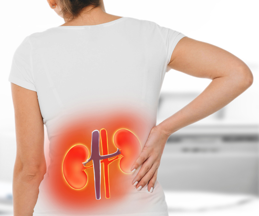 Understanding Chronic Kidney Disease: Why Seeing Your Doctor Early Matters